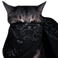 Black Bandana Cat
