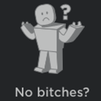 No Bitches