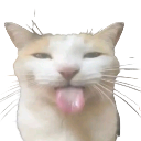 Blehh Cat