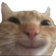 Happy Cat