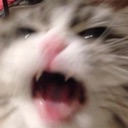 Kitty Ahhh