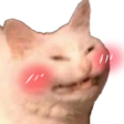 Kitty Blush
