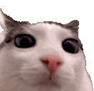 Plink