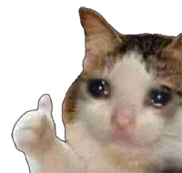 Sadcat Thumbsup