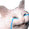 Whyucrying